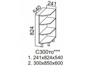 С300то Стол-рабочий 300 (торцевой открытый) в Чебаркуле - chebarkul.magazin-mebel74.ru | фото