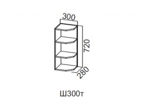 Ш300т/720 Шкаф навесной 300/720 (торцевой) в Чебаркуле - chebarkul.magazin-mebel74.ru | фото