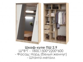 шкаф-купе ПШ-2.9 1500 Норд Белый жемчуг 1500 в Чебаркуле - chebarkul.magazin-mebel74.ru | фото