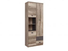 Шкаф REG 3D2S Малькольм в Чебаркуле - chebarkul.magazin-mebel74.ru | фото