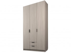 Шкаф с 2 ящиками Экон ЭШ3-РП-23-12-2я в Чебаркуле - chebarkul.magazin-mebel74.ru | фото