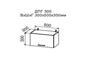 Шкаф верхний ДПГ500 горизонтальный в Чебаркуле - chebarkul.magazin-mebel74.ru | фото