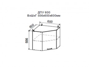 Шкаф верхний ДПУ600 угловой в Чебаркуле - chebarkul.magazin-mebel74.ru | фото